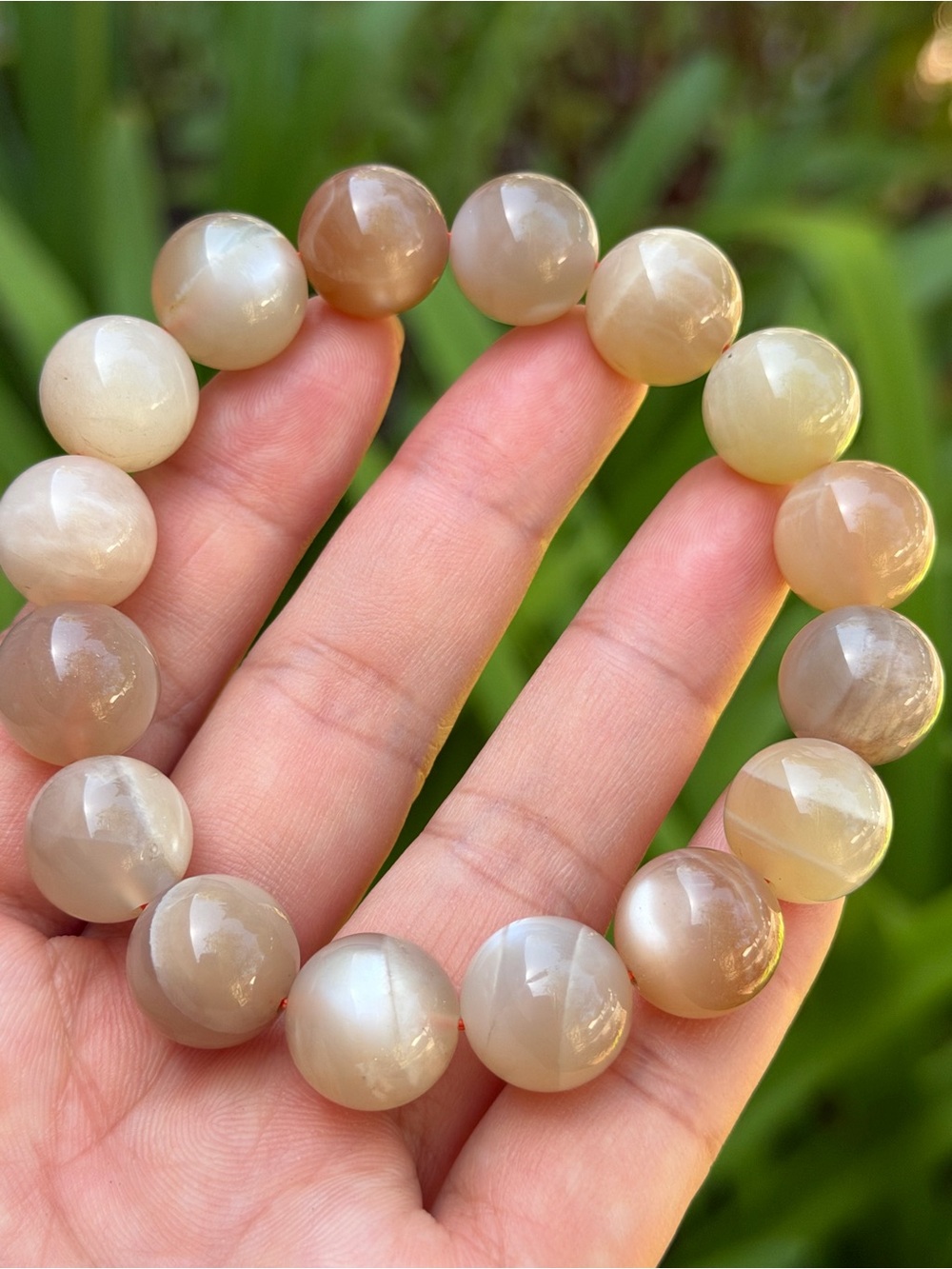 14mm Polished Beige Moonstone Beaded Bracelet 2100